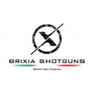 Brixia