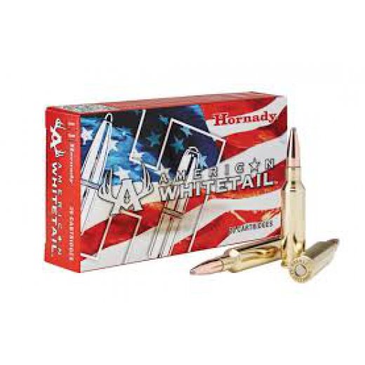 HORNADY .30-06 SPRG 180GR